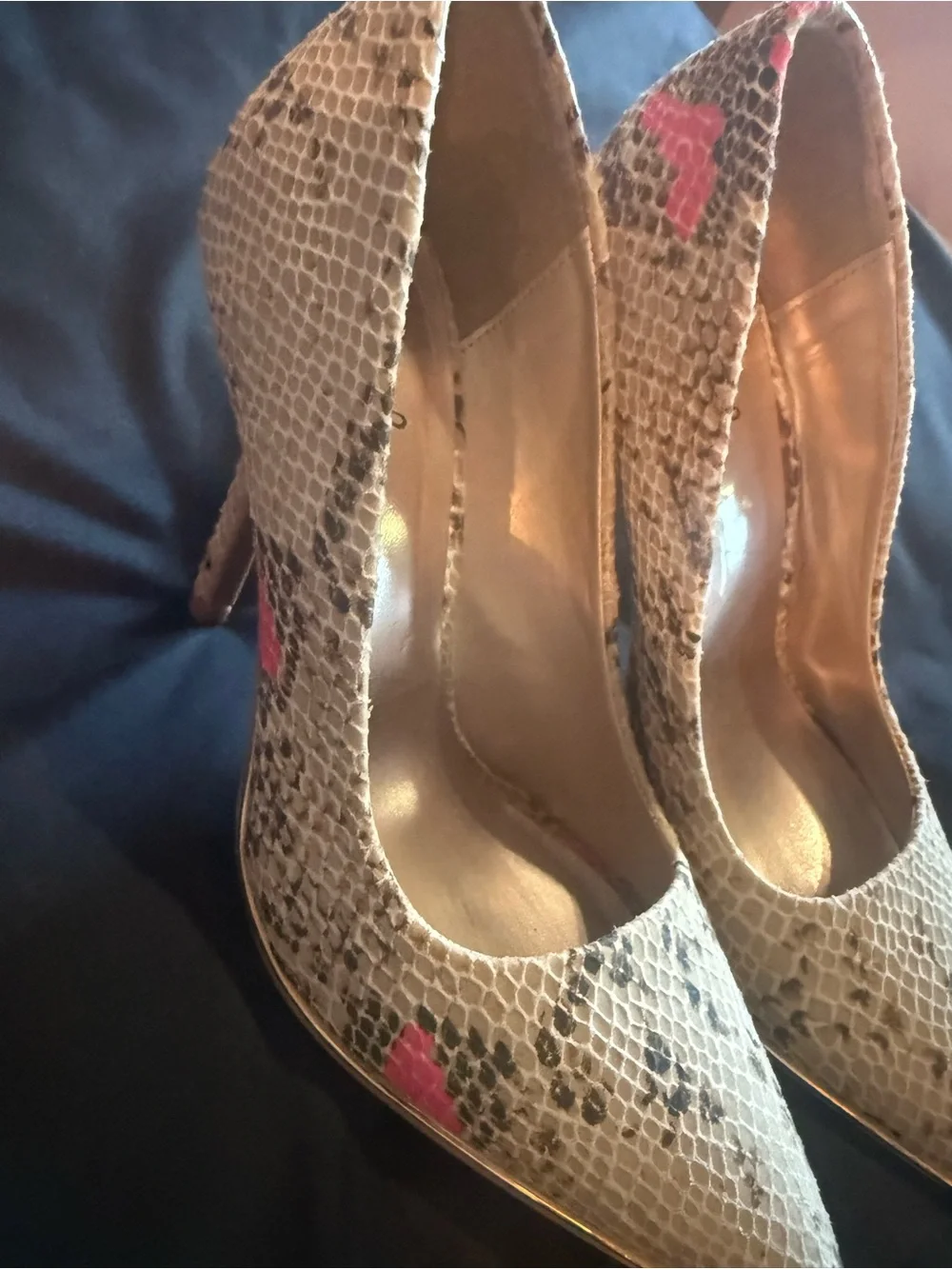Qupid Snake-Print Pointed Toe Heels with Pink Accents